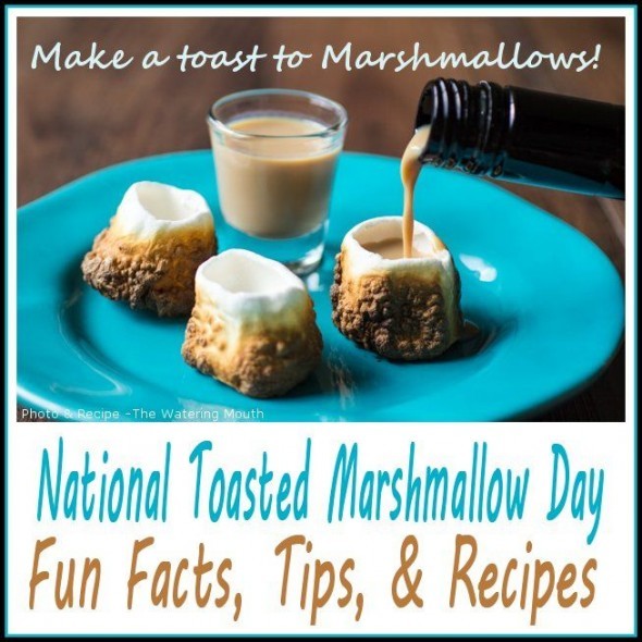 National Toasted Marshmallow Day