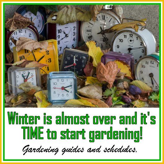 Winter is almost over and it is time to start gardening