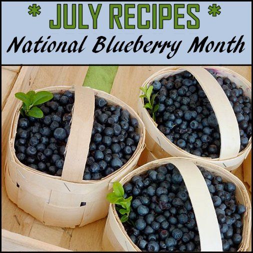 Blueberry Resources