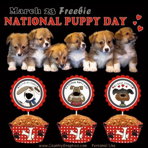 National Puppy Day Freebie